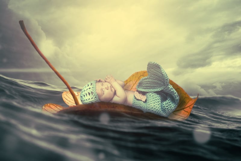 Siren Cove